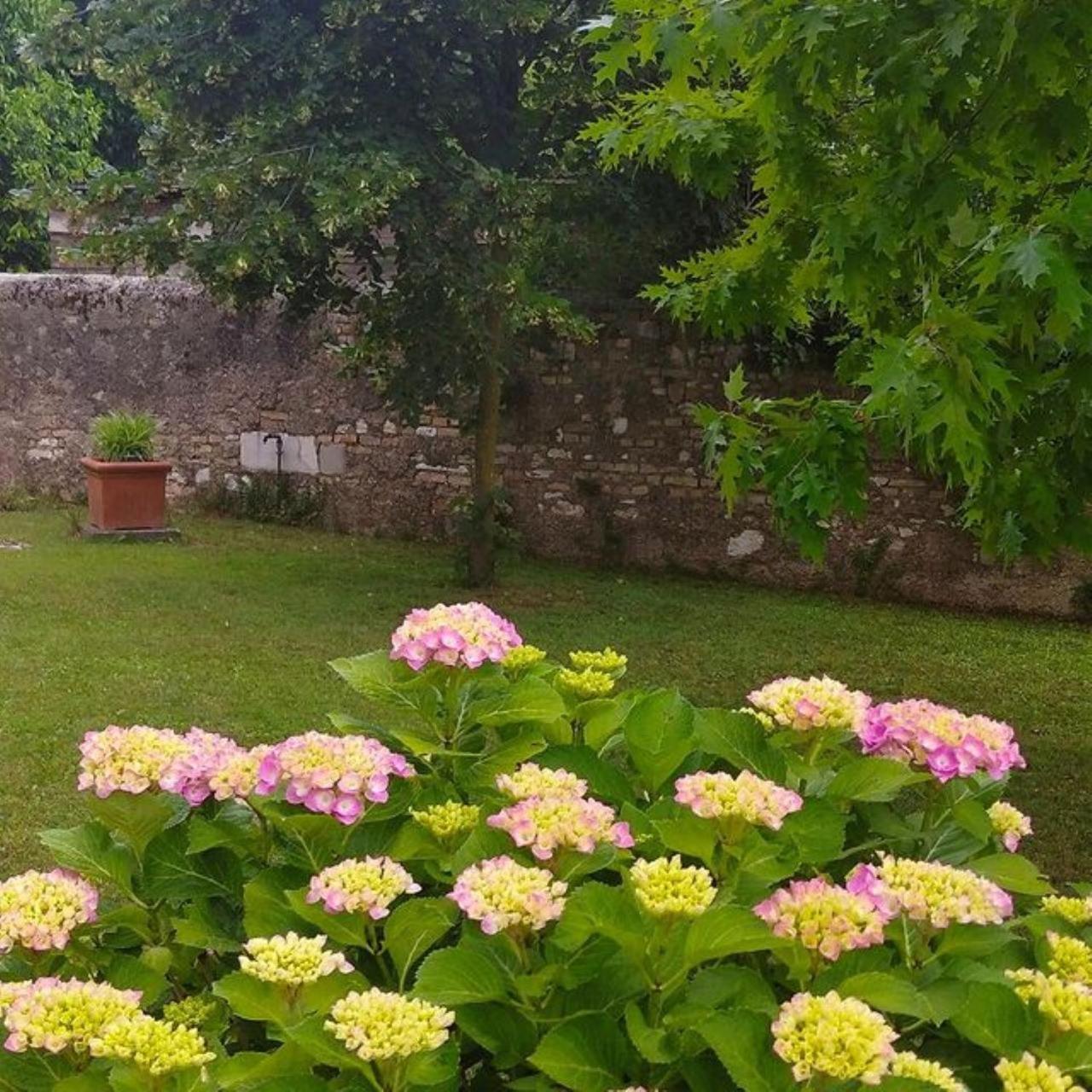 B&b Ernestine Caneva Exterior foto